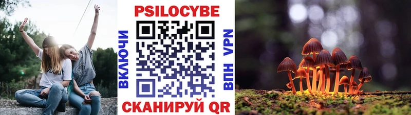 Псилоцибиновые грибы Psilocybine cubensis  Солигалич 